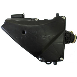Conjunto Filtro Aire (RK125i EFI)