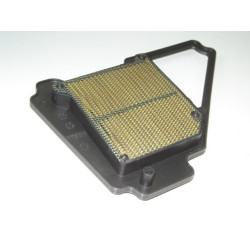 Elemento Filtro Aire (RK125i EFI)