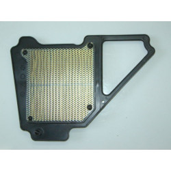 Elemento Filtro Aire (RK125i EFI)