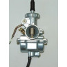 CARBURATEUR  (DG110SK)