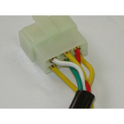 Regulador/Rectificador (SG12)