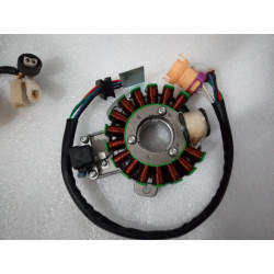 Ignition Unit CDI (JS171FFM) Jianshe JS250 ATV - New Model