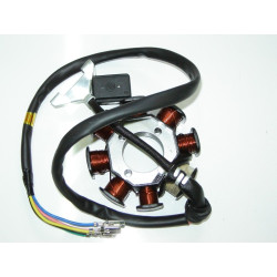Stator Complete (KR125 - CG125)