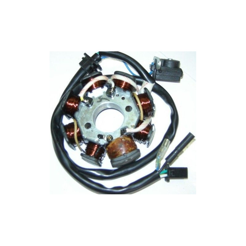 Stator & Rotor Complet (MANGA MG125)