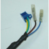 Stator & Rotor Complet (MANGA MG125)