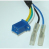 Estator & Rotor Completo (XINGYUE125)