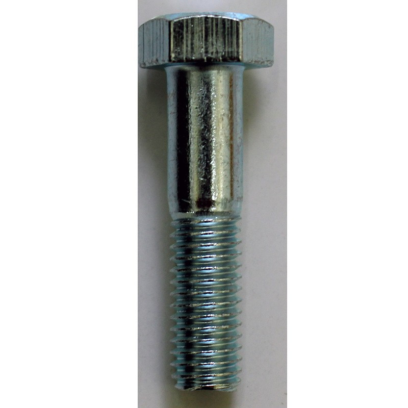Tornillo Fijación Corona
