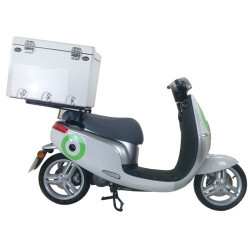 Parrilla Portabultos Abatible para BAUL Grande ECOOTER E1 50