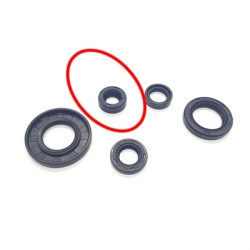 Shiftshaft Oil Seal  (RK125i ) - YBR125