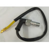 Rear Brake Switch (KR12)