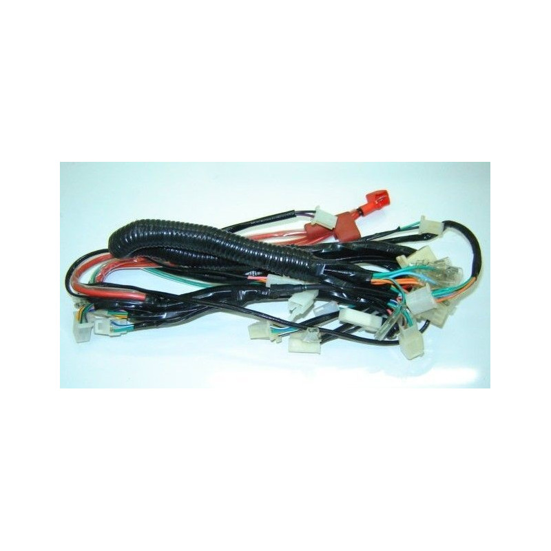 Cableado Electrico Principal (EFI) ZNEN ZN125T-E ZNAM Euro4
