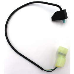 Interruptor Freno Delantero (RK125i EFI)