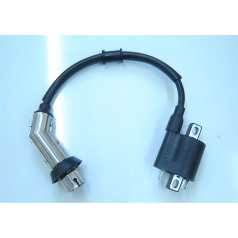 COIL ASSY IGN