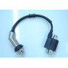 COIL ASSY IGN
