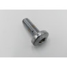 Tornillo Disco Freno Del M8*25 (SGE125i)