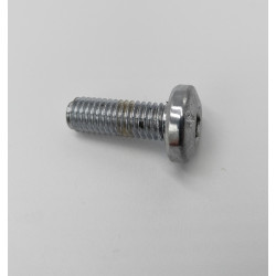 Tornillo Disco Freno Del M8*25 (SGE125i)