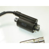 Bobina Encendido EFI