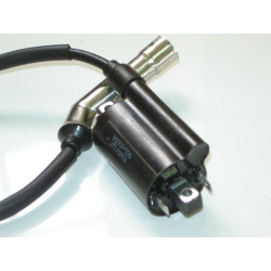 Bobina Encendido EFI