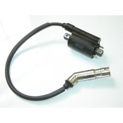 Bobina Encendido EFI (RK125i EFI)