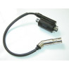 Bobina Encendido EFI