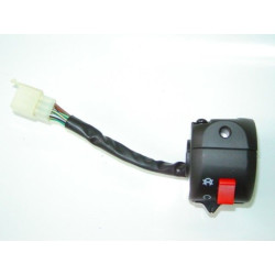 Piña Interruptores Der. (RM12ZN)