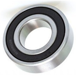 Cojinete Eje Rueda Trasera 6204 (LN12) GY6 125