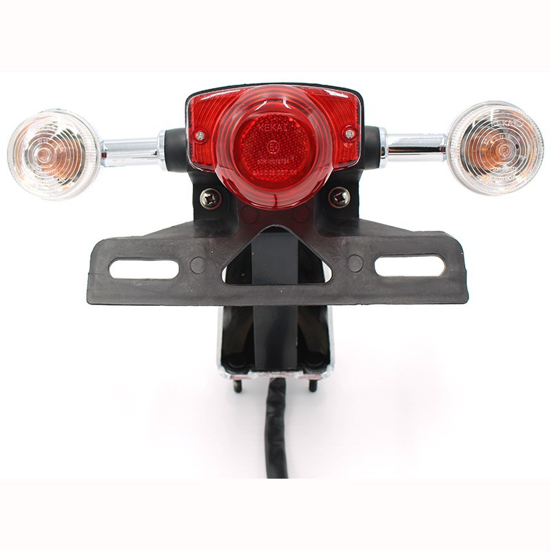 Taillamp with Turn Signal Lamps ZNEN ZN125T-E