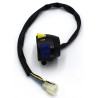 Piña Interruptorres Izquierda  (RK125i EFI)