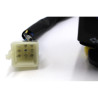 Piña Interruptorres Izquierda  (RK125i EFI)