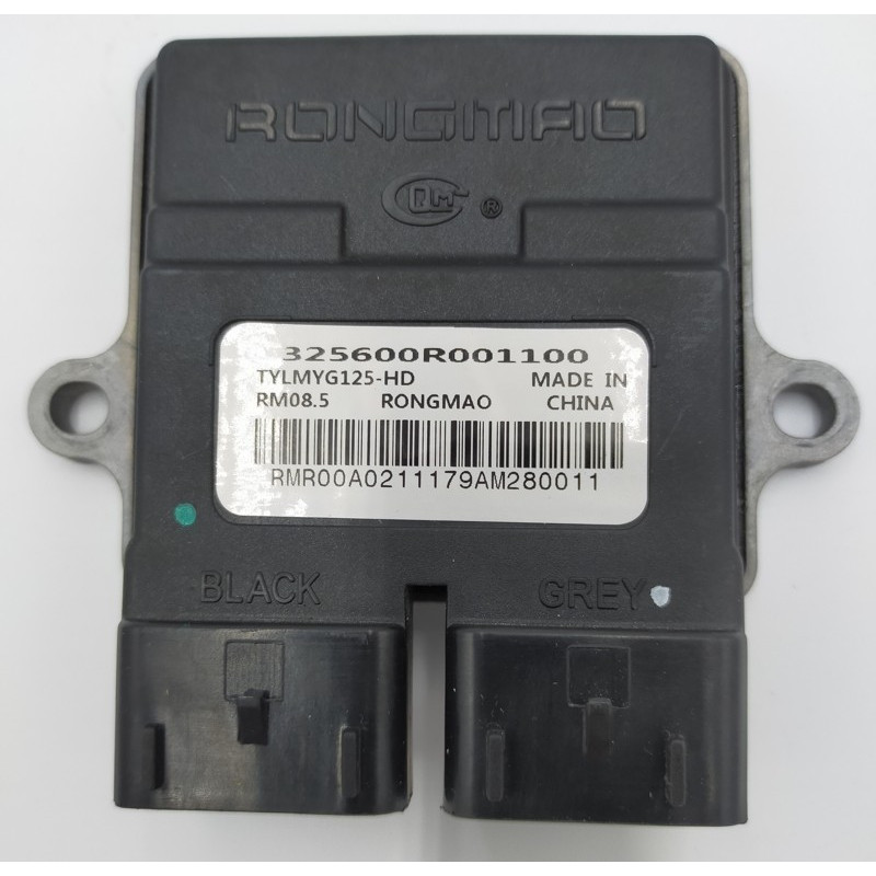ECU (EFI)