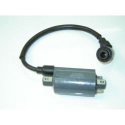 Bobine Allumage (MRQ25)