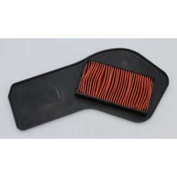 Elemento Filtro Aire  (S-Joy125)