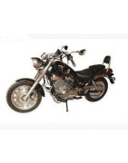 Radon 250cc Custom V-Twin
