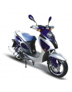 XY125T-11