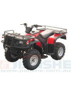 Quad ATV Loncin LX250ST