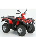 Quad ATV Loncin LX200ST