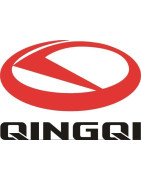 QINGQI (PIONEER-XINGFU)
