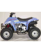 QUAD 50cc (JC50QS)