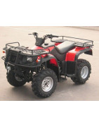 Gas Gas ATV K2 250cc