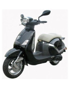 Wildlander Panacotta 125 (ZN125T-F)