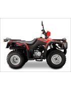 JIANSHE250-3/5 ATV