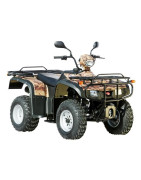 ATV 250 (Loncin LX250ST)