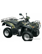 EXPLORER Argos MT250