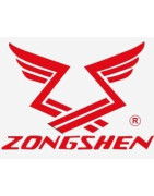 ZONGSHEN CYCLONE