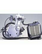 MOTOR - 172MM-2 (250cc)