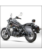 Fosti FT125-6 (Custom)
