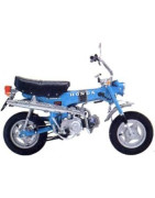 Dax 50