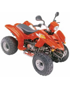 Quad ATV110 Loncin LX110ST-2A