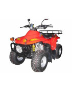 QUAD Lifan LF50ST-A