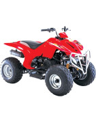 Quad YX150ST